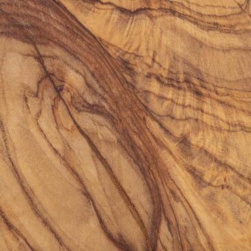 différences entre essences de bois