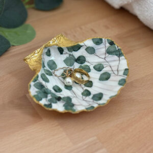 Repose bijoux original coquillage eucalyptus vert sauge avec bagues posées à l’intérieur.