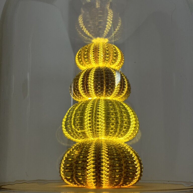 Découvrez cette magnifique lampe décorative en oursins naturels en édition limitée Lampe décorative en oursins naturels