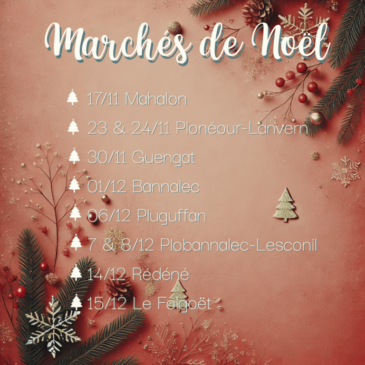 Marché de Noël 2024 : le compte à rebours est lancé !