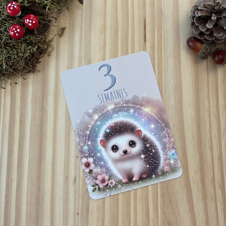 Découvrez mes cartes étapes bébé sur le thème de la forêt Tatakréa - Cartes étapes bébé thème forêt