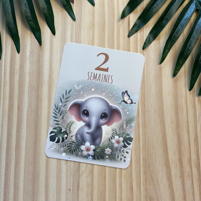 Découvrez mes cartes étapes bébé sur le thème de la jungle Tatakréa - Cartes étapes bébé thème jungle