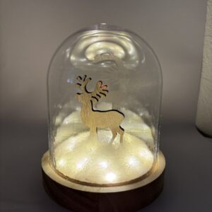 Décoration de Noël lumineuse