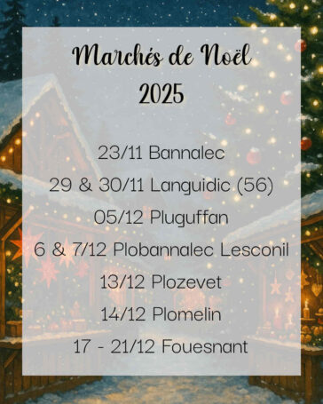 Tatakréa – Marchés de Noël 2025 en Finistère et Morbihan : dates et lieux des marchés artisanaux où découvrir mes créations de Noël en bois, tissu et coquillages.